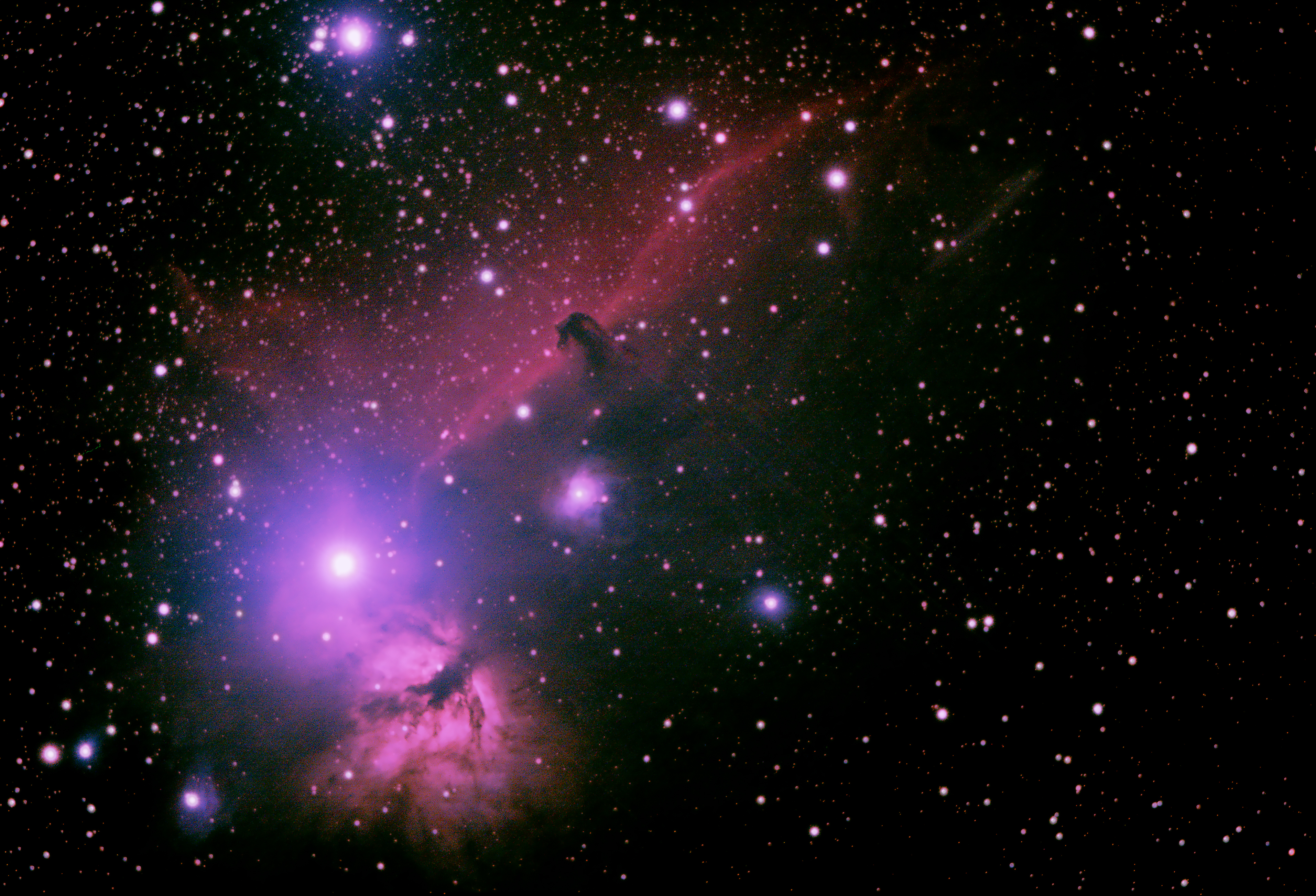 Horsehead Nebula 13/01/2024 – Nicks Astrophotography