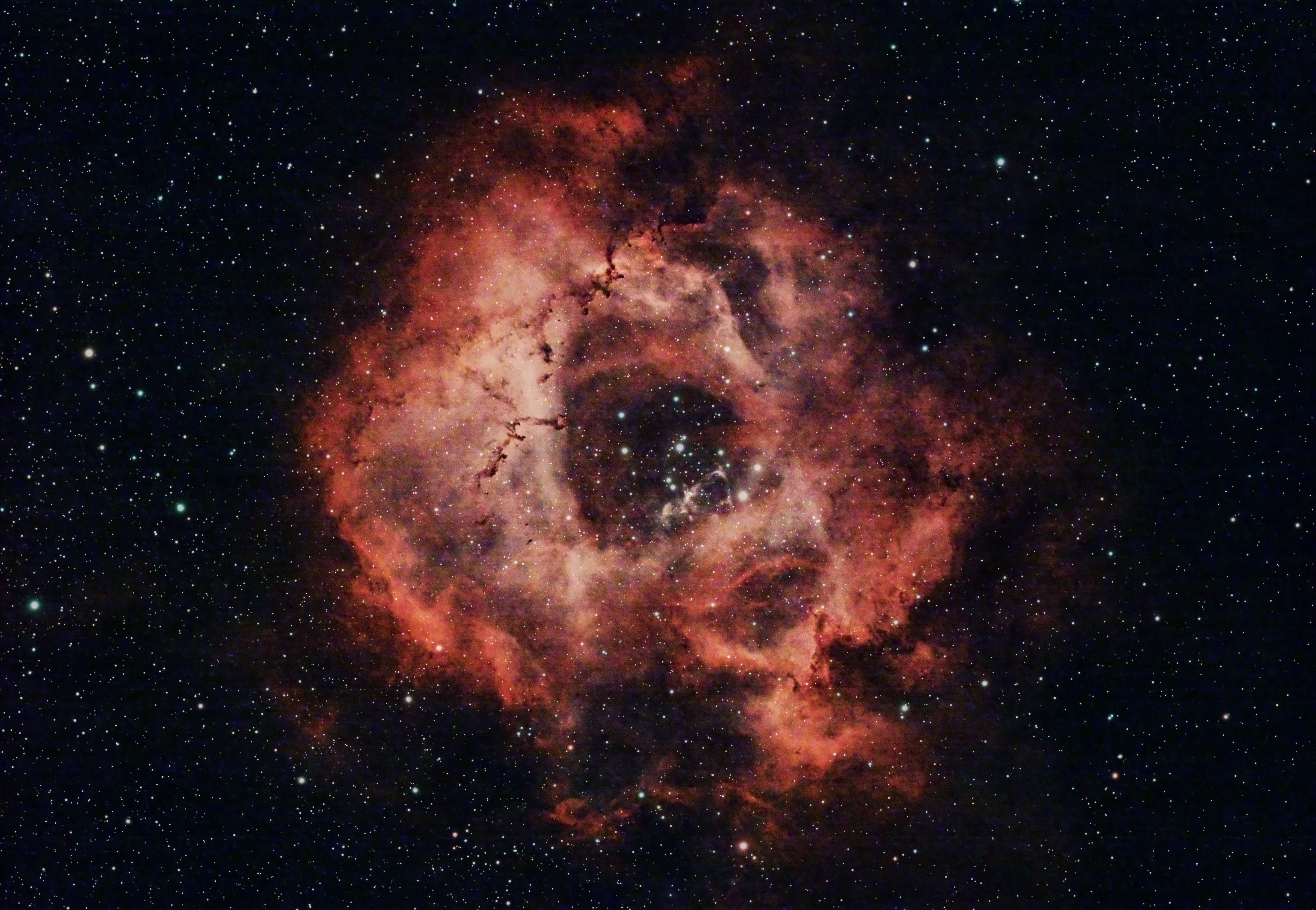 Rosette Nebula 2 hours exposure