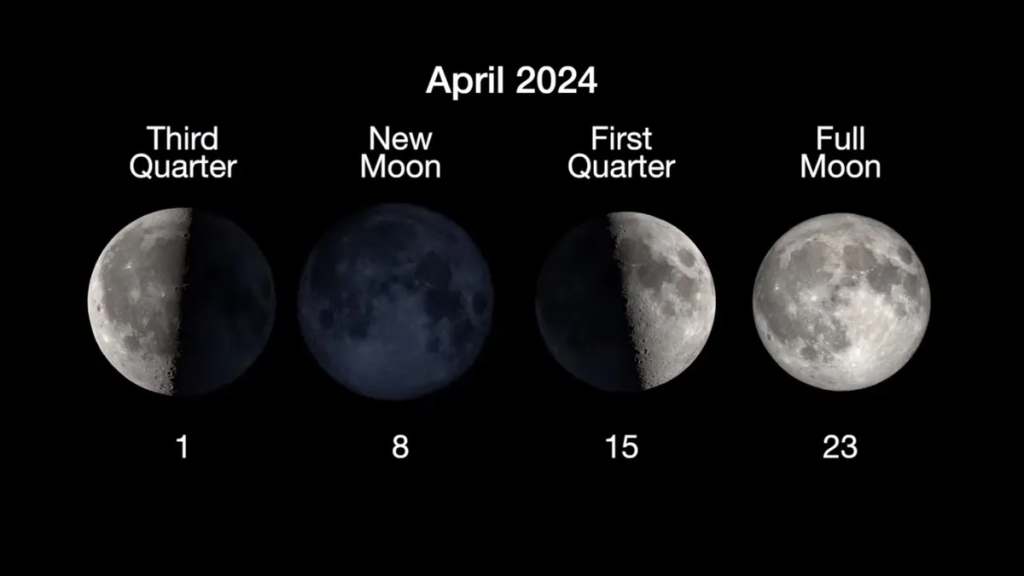 The moon phases and their dates for April 2024. (Image credit: NASA/JPL-Caltech)